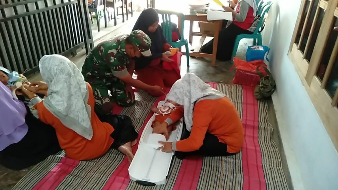 Peduli Stunting, Babinsa Pos Selopuro Dampingi Kegiatan Posyandu Balita Di Wilayah Binaannya