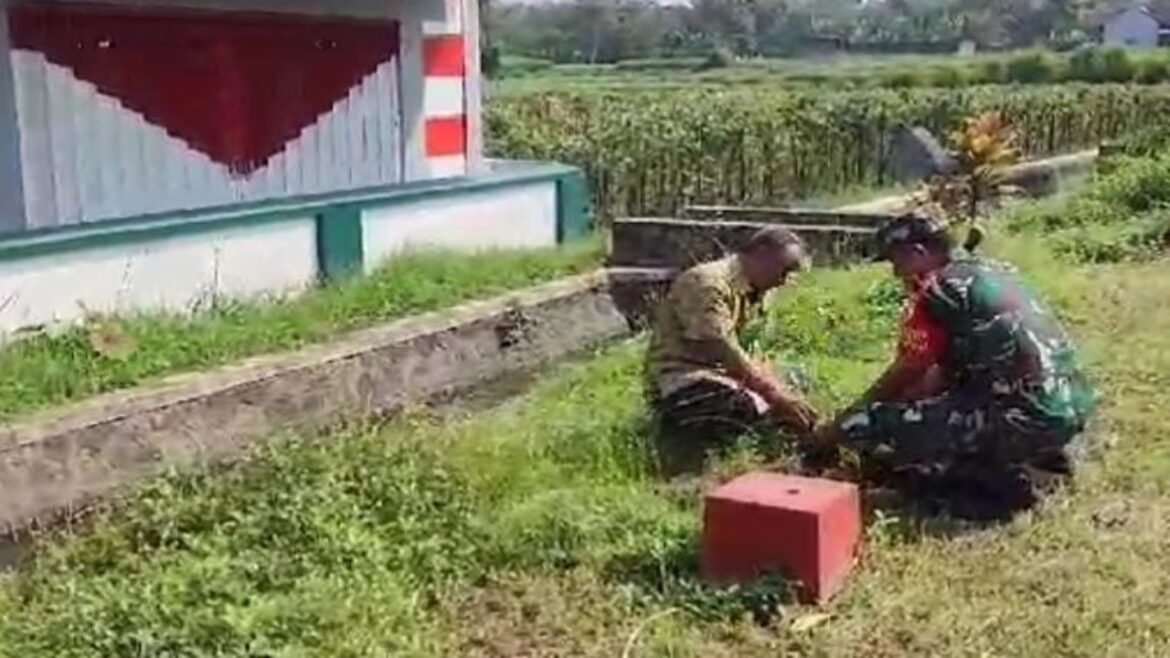 Peduli Kelestarian Alam, Babinsa Koramil 0808/16 Talun Bersama Warga Laksanakan Penanaman Pohon