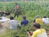 Serunya Briefing Bersama Kelompok Tani Sido Makmur Di Kecamatan Ponggok