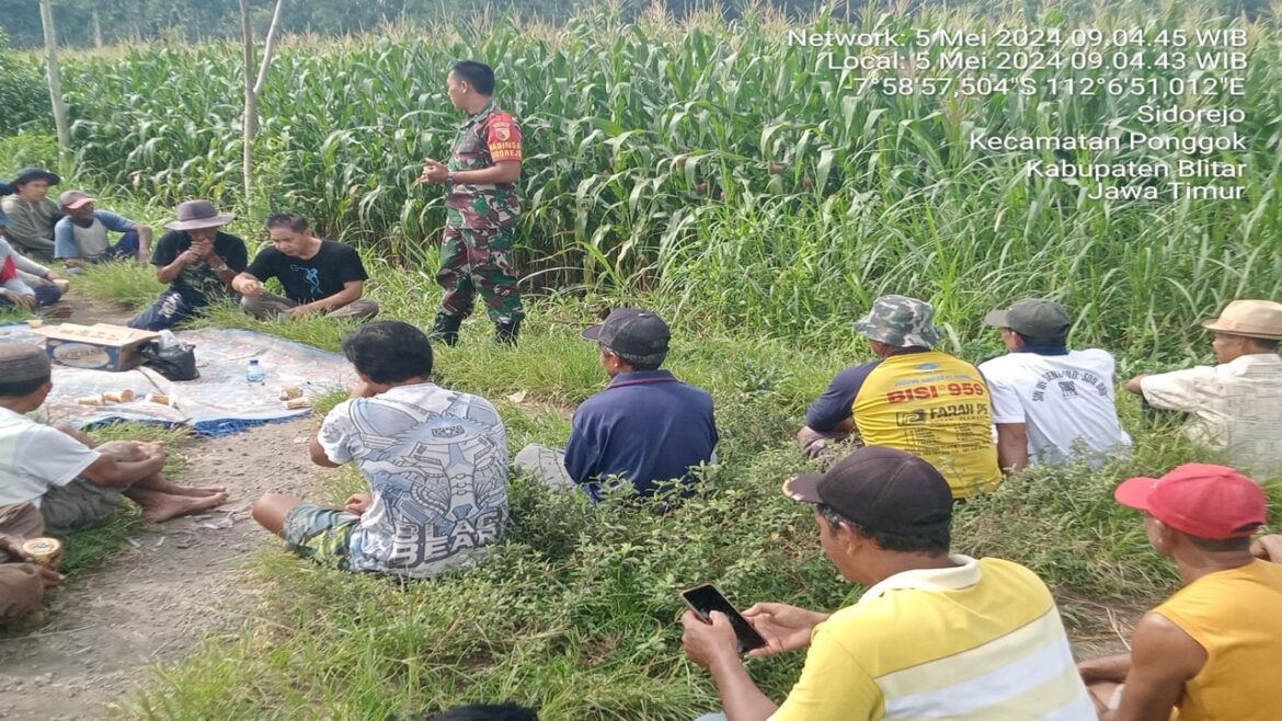 Serunya Briefing Bersama Kelompok Tani Sido Makmur Di Kecamatan Ponggok