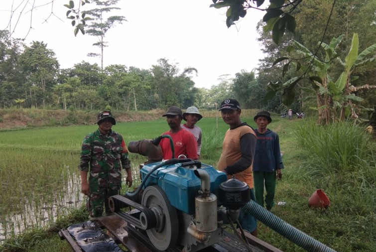 Dukung Ketahanan Pangan, Sertu Tri Rosadi Dampingi Program Pompanisasi