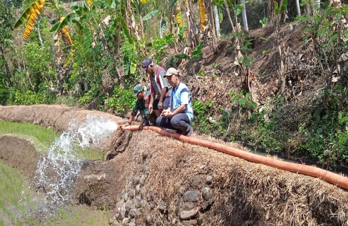 Dukung Program Pompanisasi, Serda Dharlis Bantu Petani Mengairi Sawah