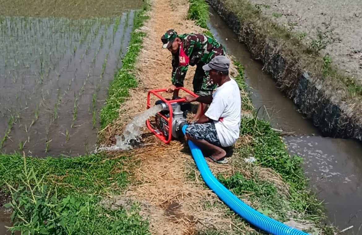 Babinsa Nglegok Dan Poktan Sido Makmur 1 Pastikan Ketersediaan Air Dengan Pompanisasi