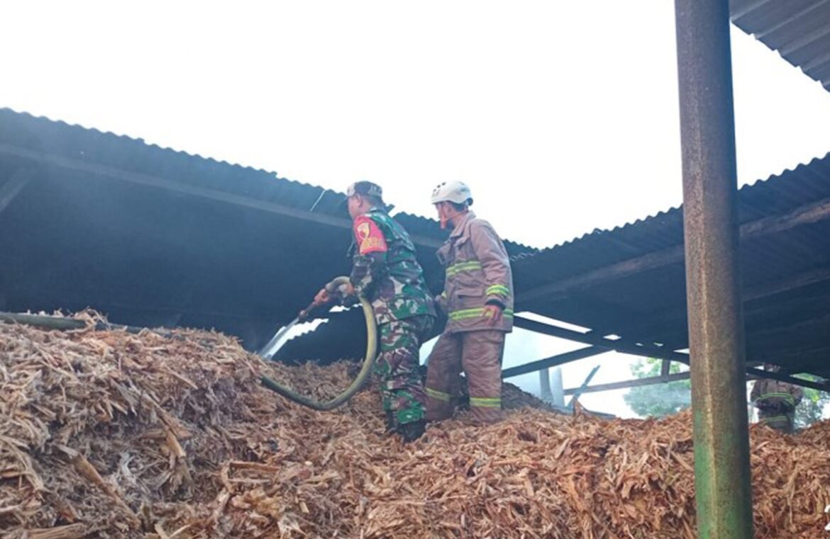 Babinsa Desa Salamrejo Dukung Program Pendampingan Stunting di Posyandu Melati