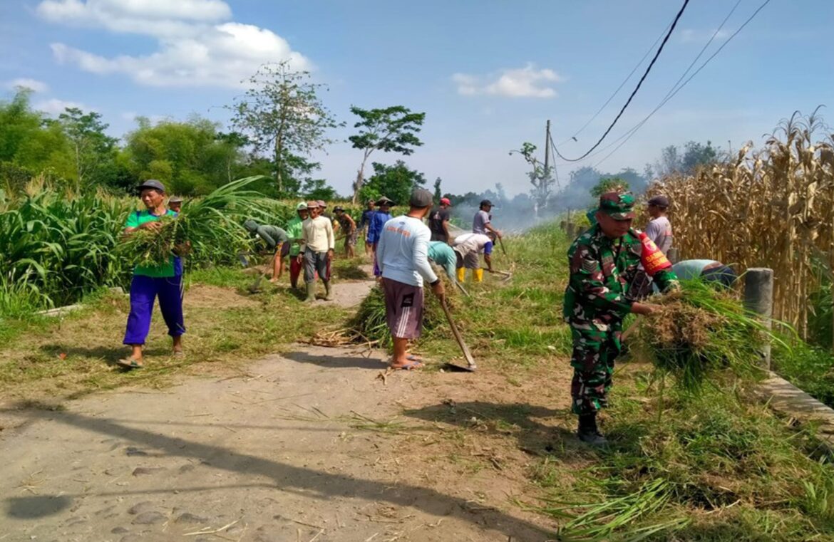 Wujudkan Lingkungan Bersih, Babinsa Sumbersari Ajak Warga Gotong Royong Bersihkan Jalan Desa