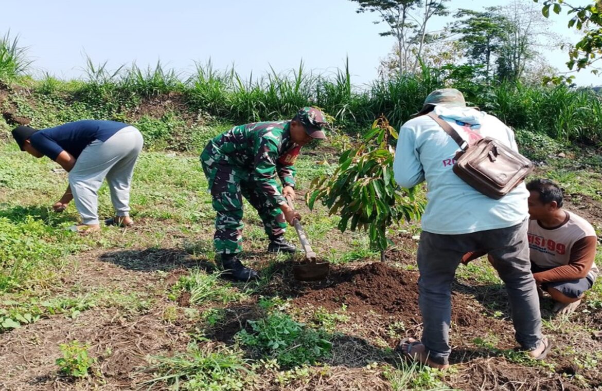 Menyatu Dengan Alam, Babinsa Sananwetan Tanam Pohon Bersama Di Tanggul Sungai Beru