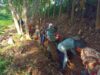 Bersama Warga Babinsa Desa Kebunduren Gotong Royong Bangun Saluran Irigasi